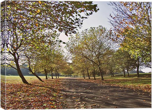 Autumn in the Park Canvas Print by philip clarke