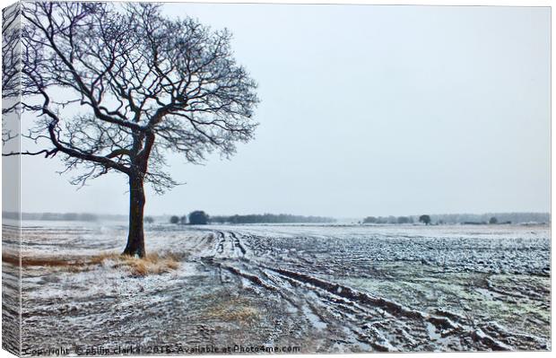 Winter Snow on  Farmland Canvas Print by philip clarke