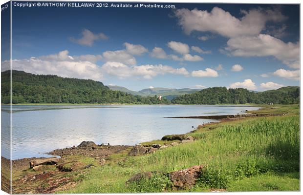  LOCHALINE ARTONISH ESTATE Canvas Print by Anthony Kellaway