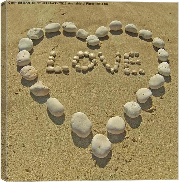 love pebbles in the sand Canvas Print by Anthony Kellaway