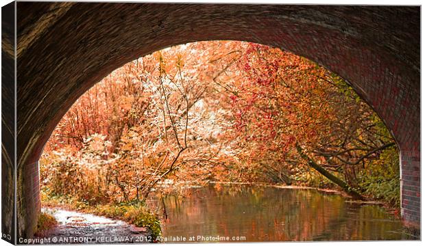 THROUGH THE TUNNEL Canvas Print by Anthony Kellaway