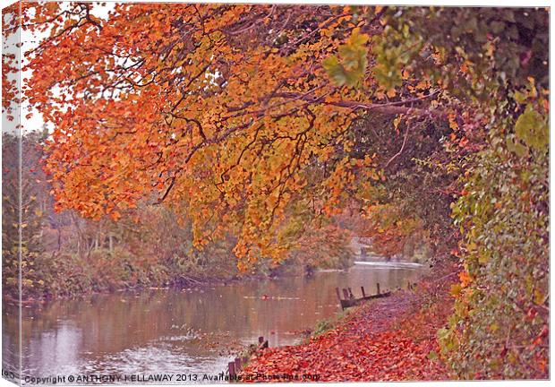 ITCHEN NAVIGATION IN AUTUMN Canvas Print by Anthony Kellaway