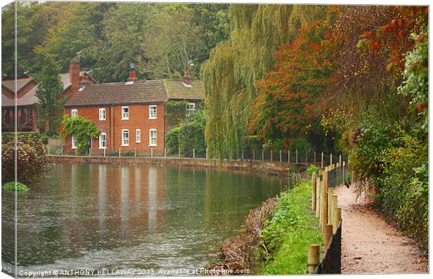 RIVER ITCHEN COTTAGE IN AUTUMN Canvas Print by Anthony Kellaway