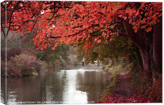 ITCHEN NAVIGATION AUTUMN OILS Canvas Print by Anthony Kellaway