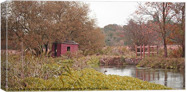 FISHING HUT ON THE RIVER ITCHEN Canvas Print by Anthony Kellaway