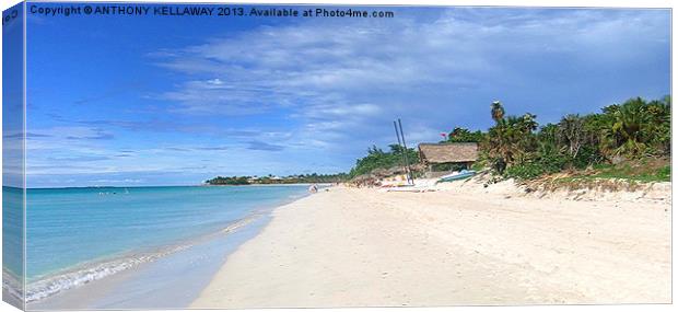 VARADERO BEACH CUBA Canvas Print by Anthony Kellaway