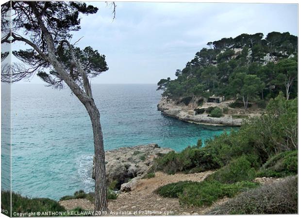 THE PATH TO CALA CALANGA Canvas Print by Anthony Kellaway
