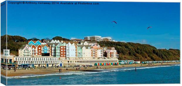 BOSCOMBE COLOUR Canvas Print by Anthony Kellaway