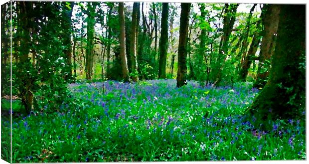 BLUEBELLS OIL PAINTING Canvas Print by Anthony Kellaway