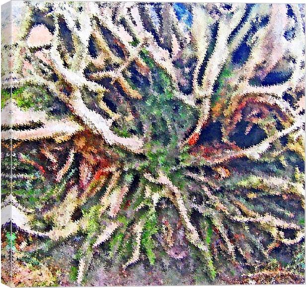  TREE ROOTS ABSTRACT Canvas Print by Anthony Kellaway