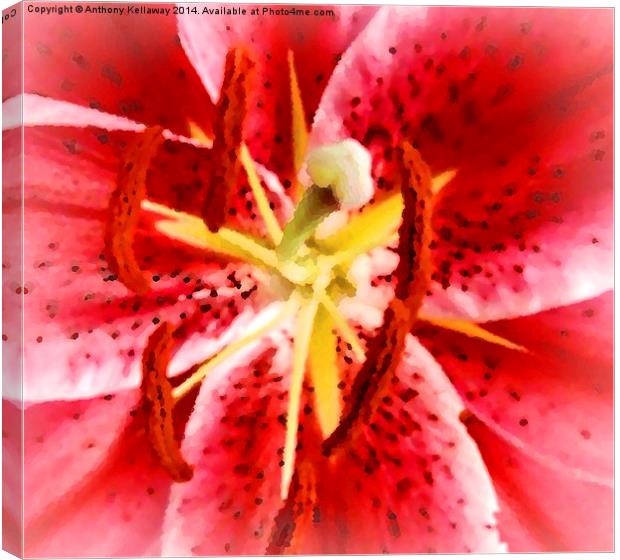  TIGER LILY ABSTRACT Canvas Print by Anthony Kellaway