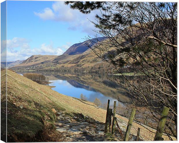  BUTTERMERE REFLECTIONS Canvas Print by Anthony Kellaway