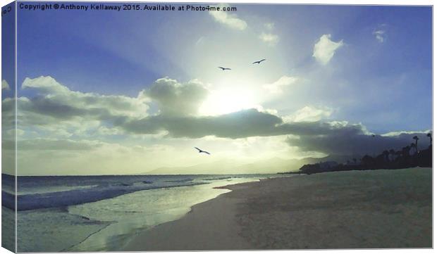  PUERTO DEL CARMEN BEACH SUNBURST Canvas Print by Anthony Kellaway