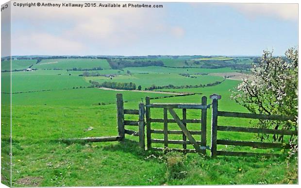  MEON VALLEY VIEW Canvas Print by Anthony Kellaway