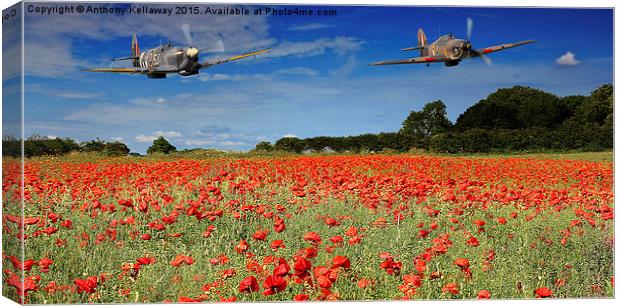  SPITFIRE AND HURRICANE FLYPAST Canvas Print by Anthony Kellaway