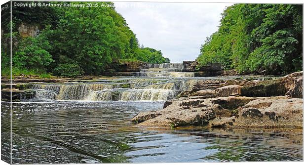  Aysgarth Falls Canvas Print by Anthony Kellaway