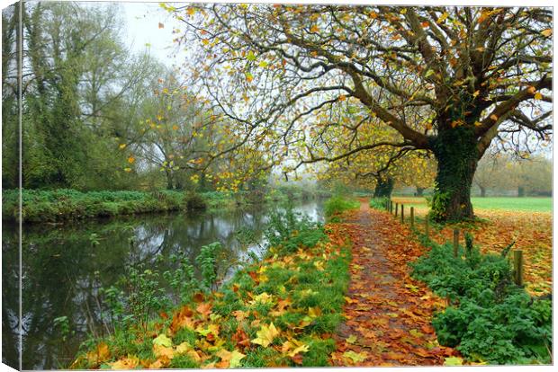     ITCHEN NAVIGATION IN AUTUMN                    Canvas Print by Anthony Kellaway