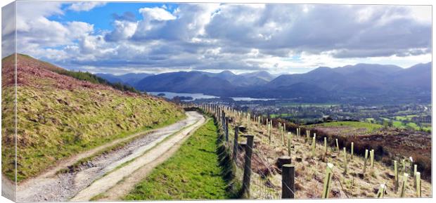    Derwent water and Keswick from Latrigg          Canvas Print by Anthony Kellaway