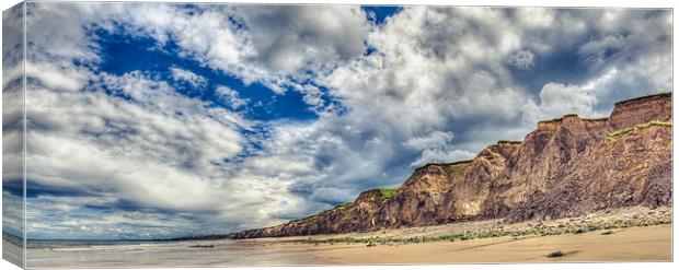 Seaham Moody Summer Panorama Canvas Print by Daniel Walsh