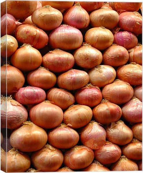 Onions Canvas Print by Howard Little