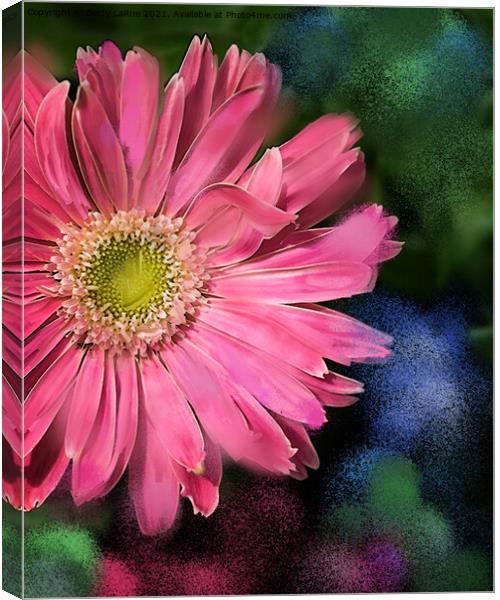 Gerbera Daisy Art Canvas Print by Betty LaRue