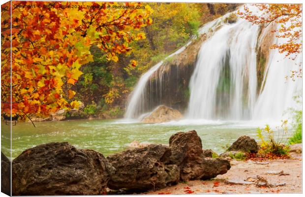 Waterfall in Autumn Canvas Print by Betty LaRue