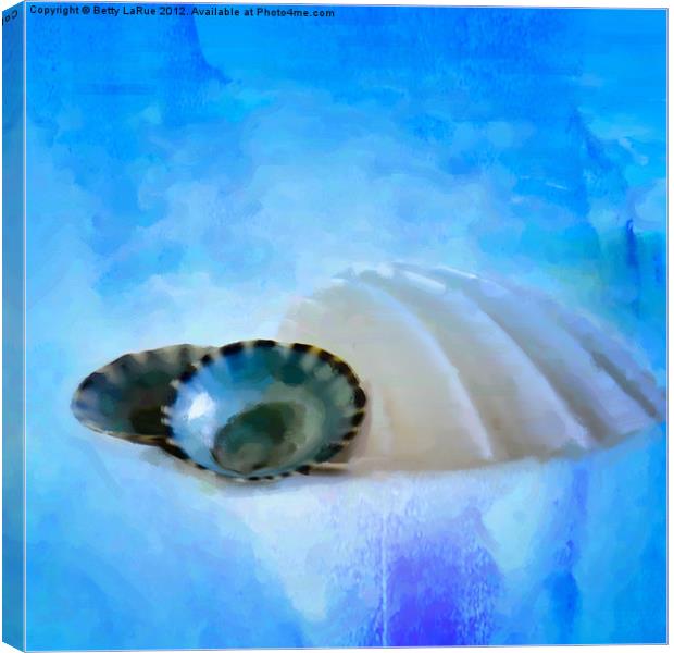 Seashells in Blue Canvas Print by Betty LaRue