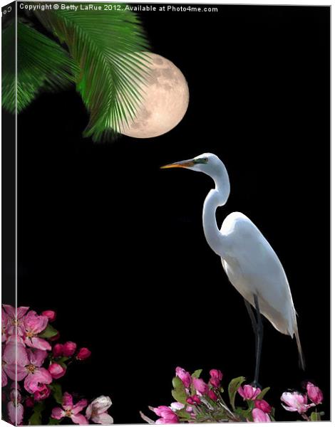 Moon Over Florida Canvas Print by Betty LaRue