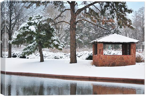 Winter Beauty Canvas Print by Betty LaRue