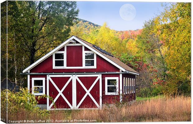 Wearing Red Canvas Print by Betty LaRue