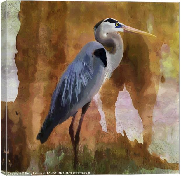 Great Blue Heron Canvas Print by Betty LaRue