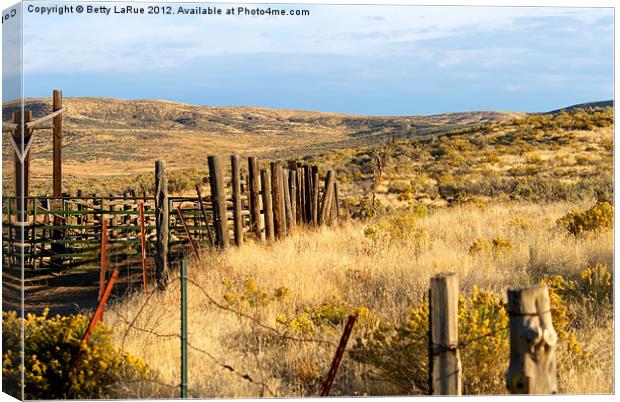 Western Corral Canvas Print by Betty LaRue