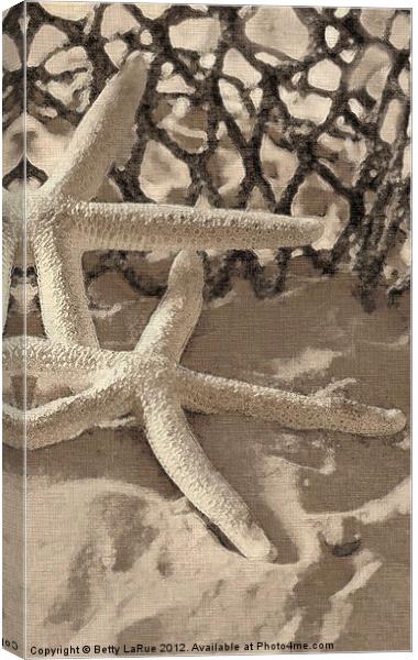 Starfish Canvas Print by Betty LaRue