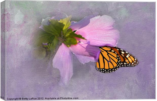 Sunlit Monarch Butterfly Canvas Print by Betty LaRue