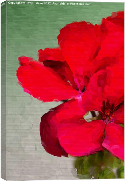 Red Geranium Canvas Print by Betty LaRue