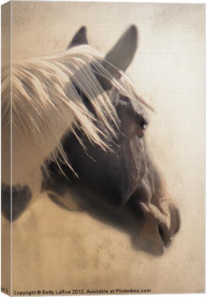 Paint Horse Portrait Canvas Print by Betty LaRue