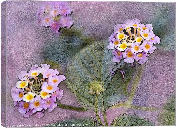 Floral Lantana Canvas Print by Betty LaRue