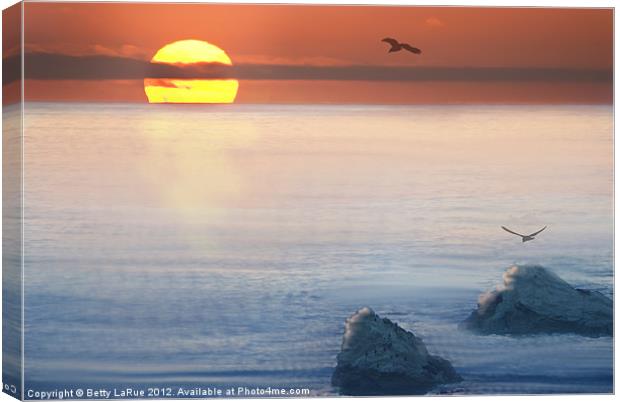 Sea Magic Canvas Print by Betty LaRue