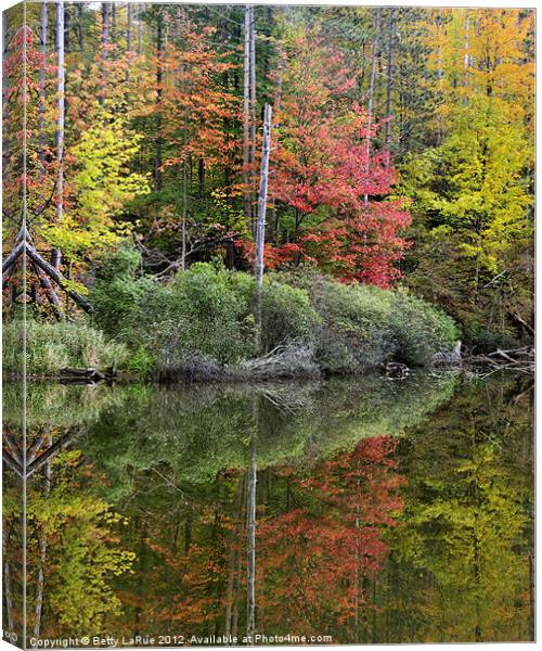 Pond Autumn Reflections Canvas Print by Betty LaRue