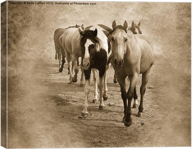 American Quarter Horse Herd in Sepia Canvas Print by Betty LaRue