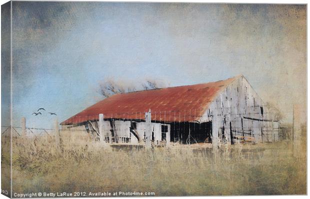 Impressionistic Old Barn Canvas Print by Betty LaRue