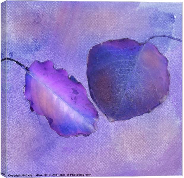 Leaf Study in Purple Canvas Print by Betty LaRue