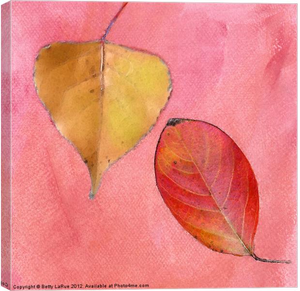 Leaf Study in Pink Canvas Print by Betty LaRue