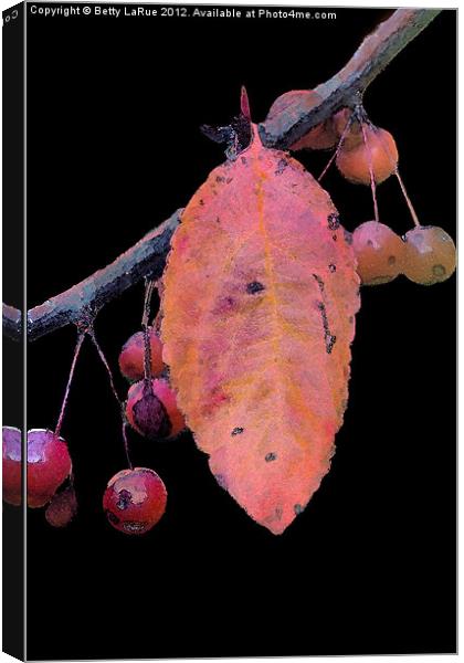 Crabapples Canvas Print by Betty LaRue