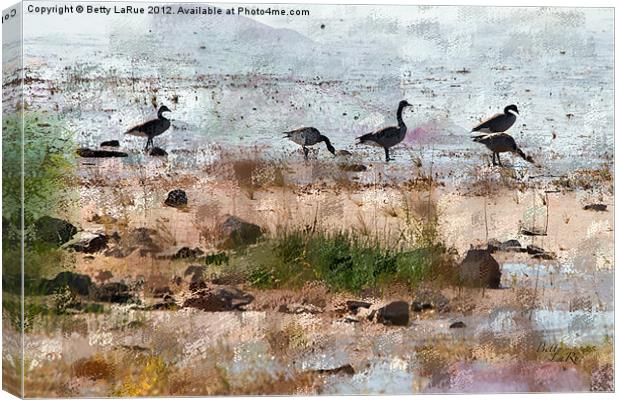 Canada Geese by the Lake Canvas Print by Betty LaRue