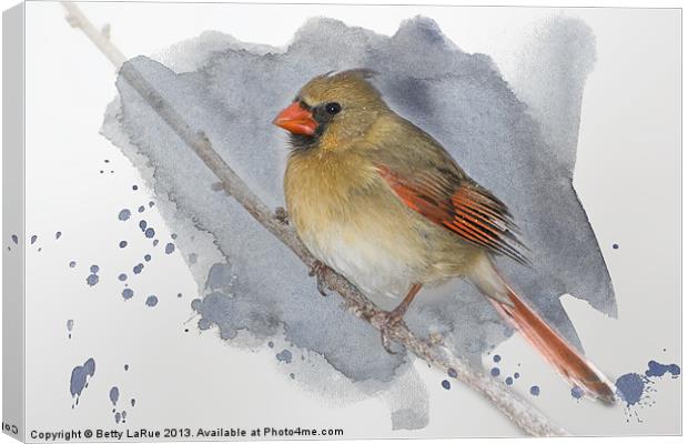 Winter Northern Cardinal Canvas Print by Betty LaRue