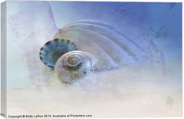 Three Sea Shells Canvas Print by Betty LaRue