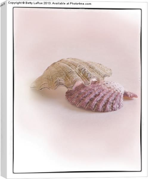 Sea Shell Love Canvas Print by Betty LaRue