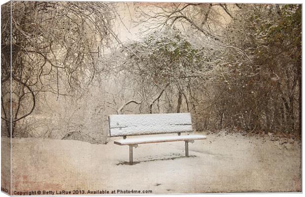 The Lonely Bench Canvas Print by Betty LaRue