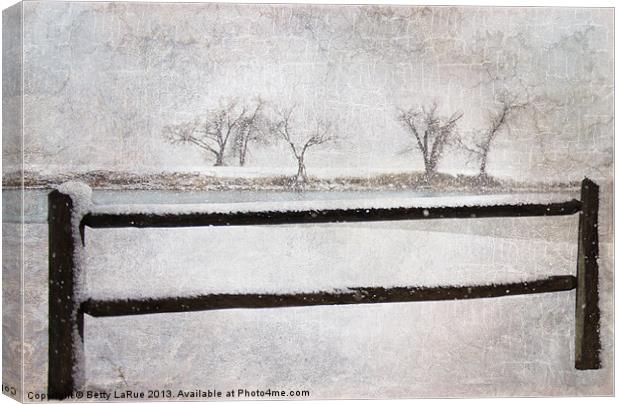 Days of Winter Canvas Print by Betty LaRue
